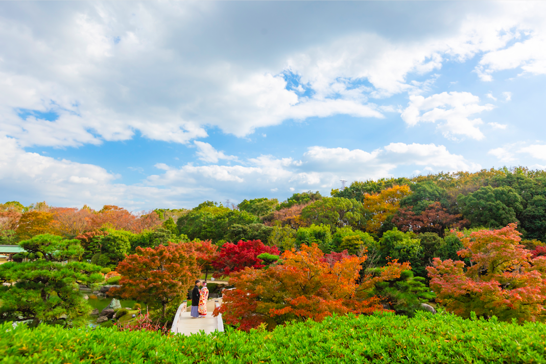 大仙 日本庭園 紅葉